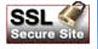 Image of the SSL Logo, American Assured Security